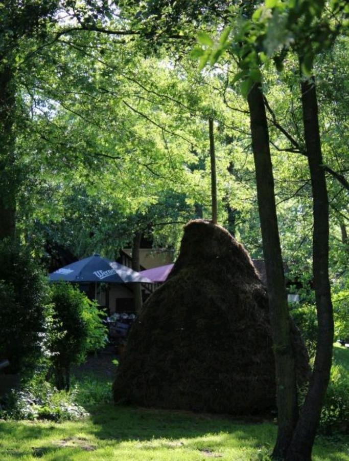 לובן Spreewald Ferienwohnung Noack מראה חיצוני תמונה